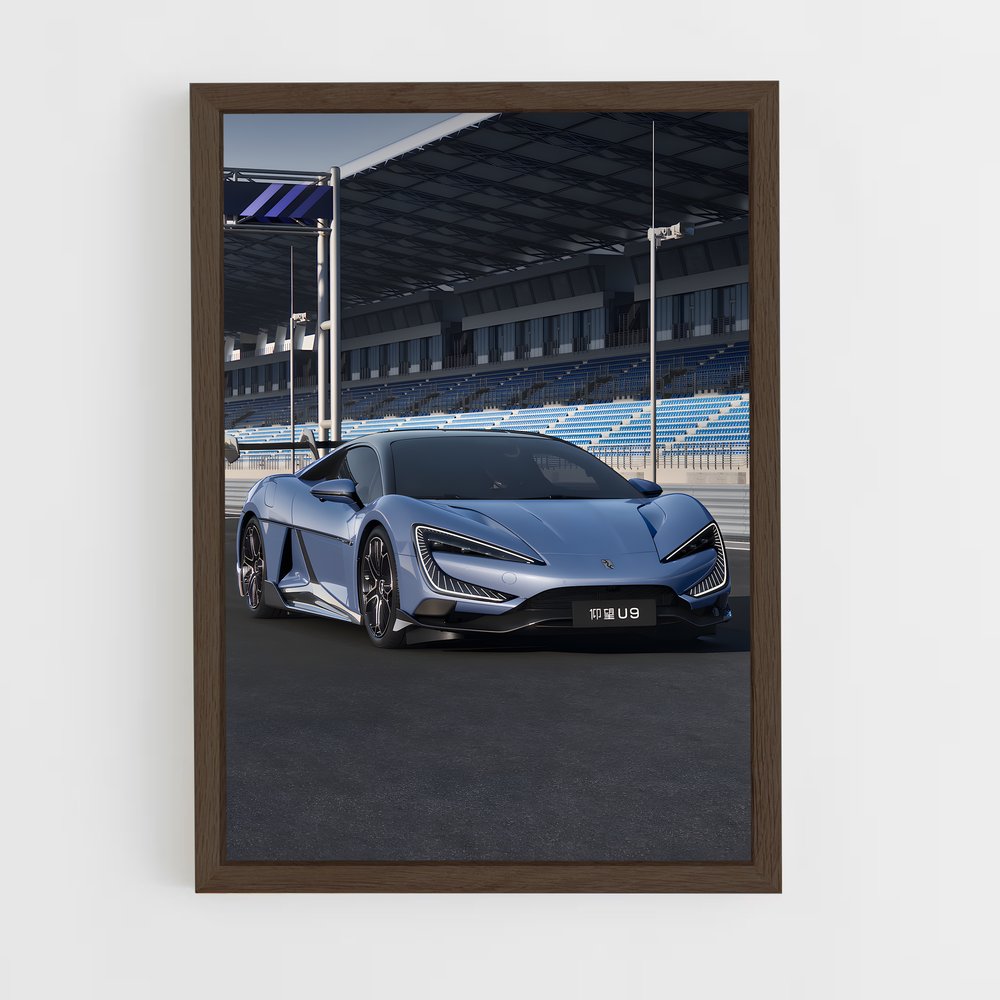 Poster Yangwang Capturée – affiche BYD (vue 5)